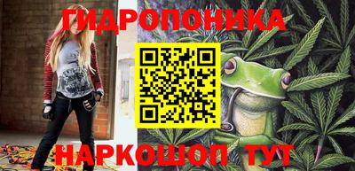 тгк Белореченск