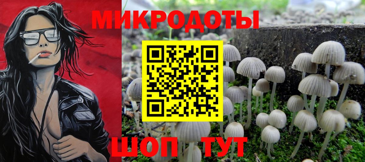 Галлюциногенные грибы Psilocybine cubensis  Галлюциногенные грибы Psilocybe  Вход с VPN  Ангарск 