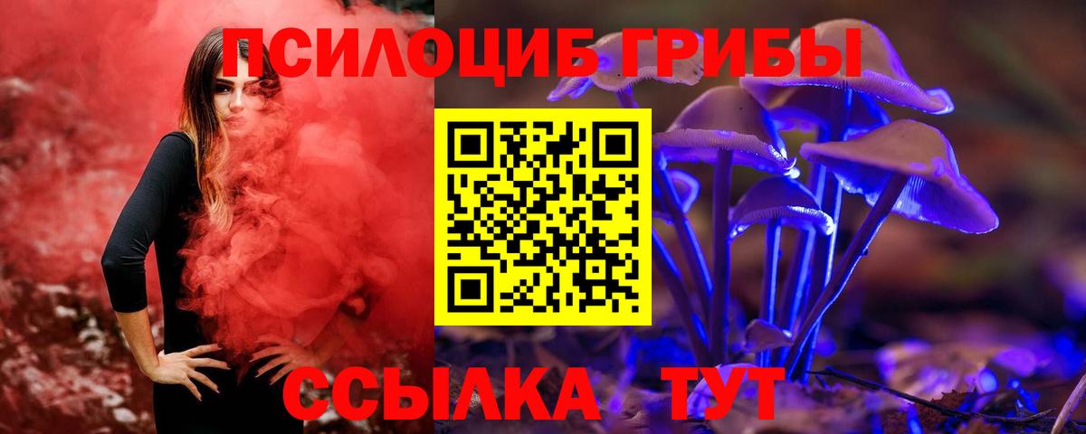 Галлюциногенные грибы GOLDEN TEACHER Ангарск