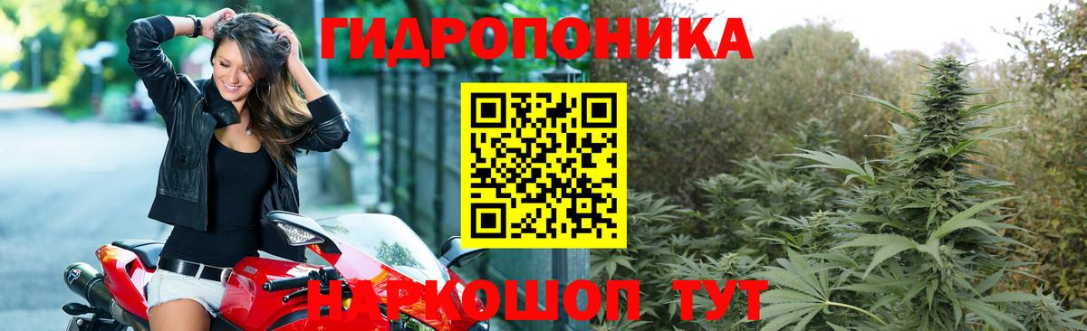 Канабис Bruce Banner  Вход с VPN  Шишки марихуана SATIVA & INDICA  Ангарск  Бошки Шишки марихуана 